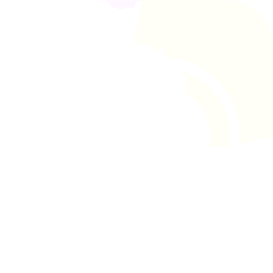 Adobe Creative Suite